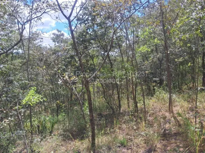 Residential Stand for Sale in Glen Lorne, Harare