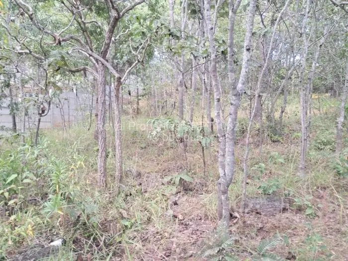 Residential Stand for Sale in Glen Lorne, Harare