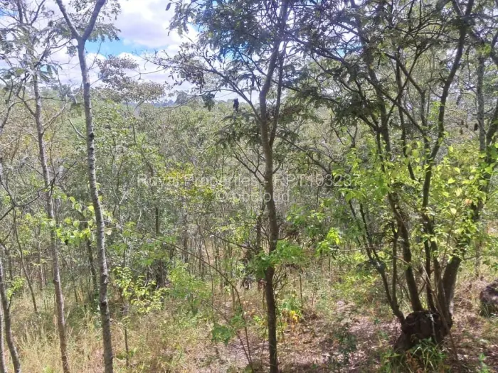 Residential Stand for Sale in Glen Lorne, Harare