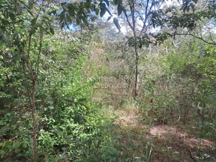 Residential Stand for Sale in Glen Lorne, Harare