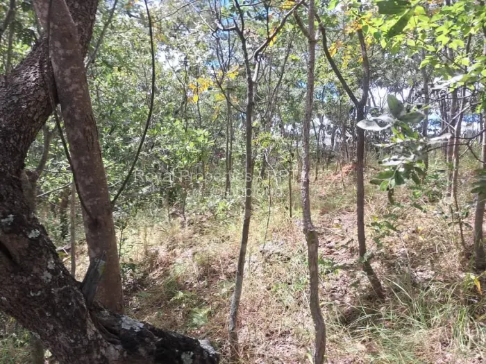 Residential Stand for Sale in Glen Lorne, Harare