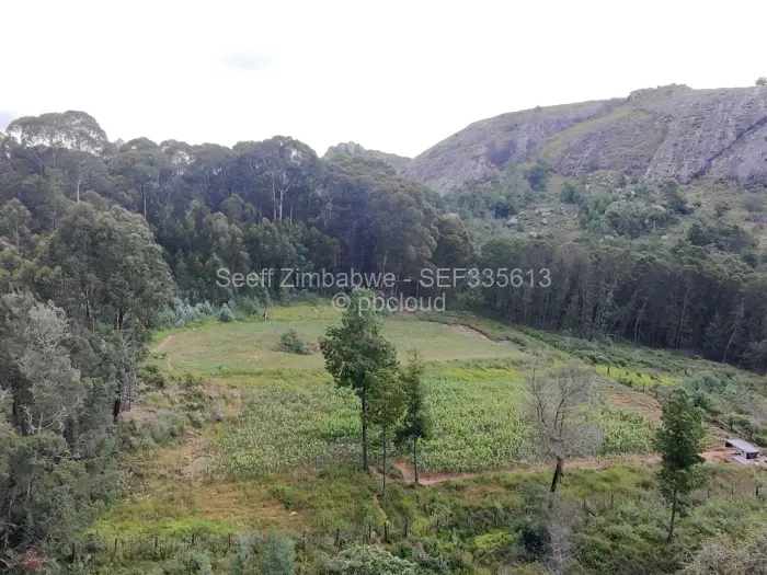 Farm/Plot for Sale in Nyanga, Nyanga