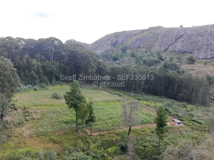 Farm/Plot for Sale in Nyanga, Nyanga