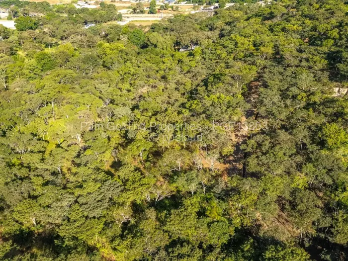 Residential Stand for Sale in Umwinsidale, Harare