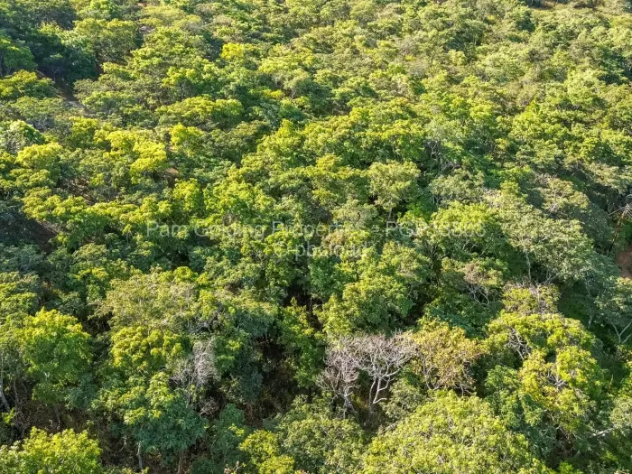 Residential Stand for Sale in Umwinsidale, Harare