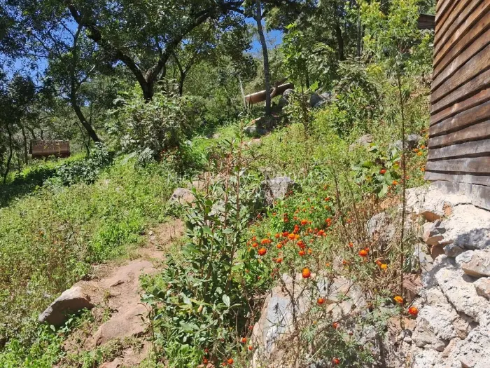 Residential Stand for Sale in Glen Lorne, Harare