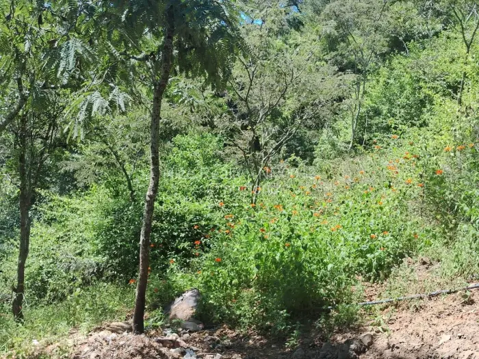 Residential Stand for Sale in Glen Lorne, Harare