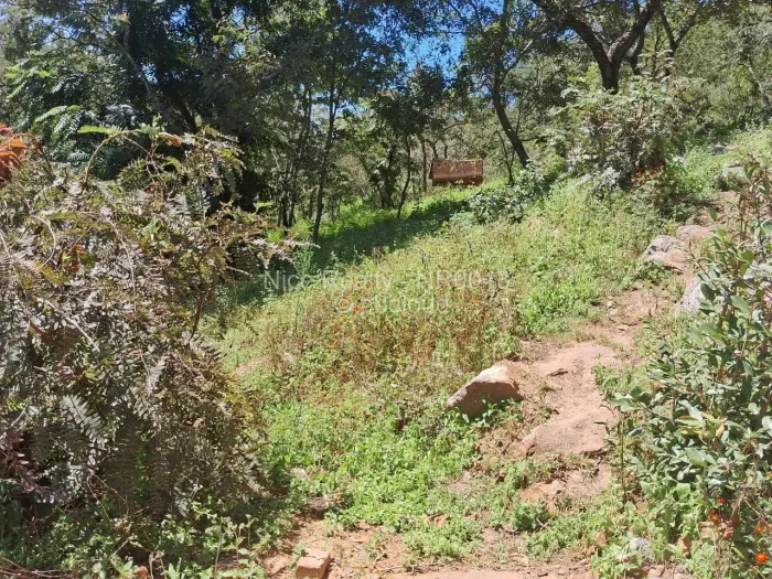Residential Stand for Sale in Glen Lorne, Harare