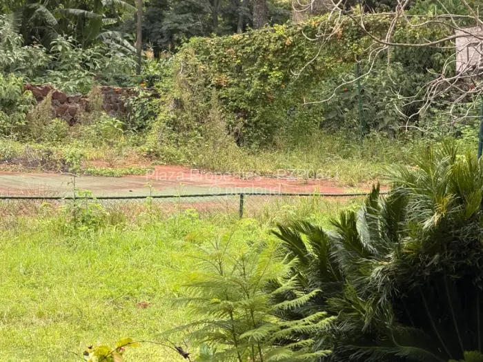 4 Bedroom House for Sale in Greystone Park, Harare