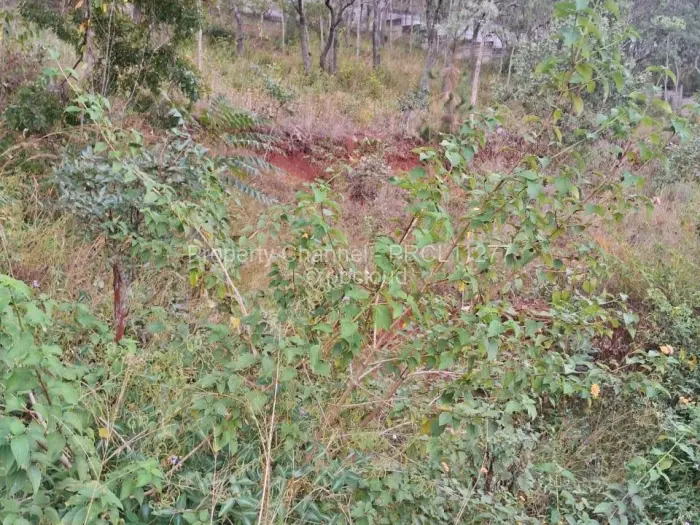 Residential Stand for Sale in Borrowdale, Harare