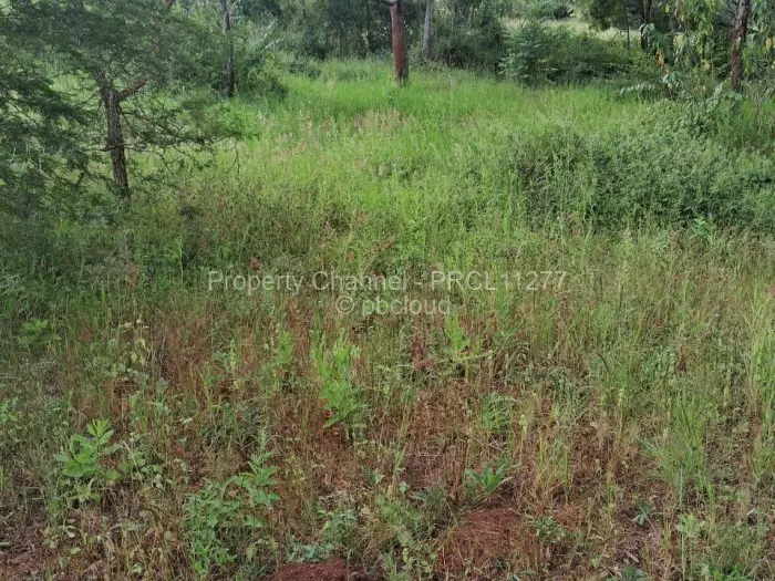 Residential Stand for Sale in Borrowdale, Harare