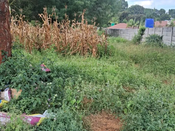 Residential Stand for Sale in Borrowdale, Harare