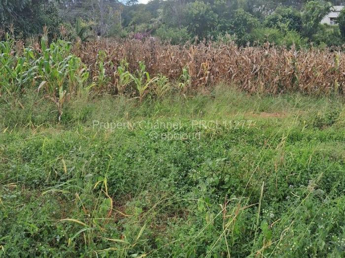 Residential Stand for Sale in Borrowdale, Harare