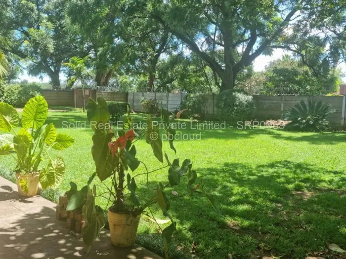 6 Bedroom House to Rent in Avondale West