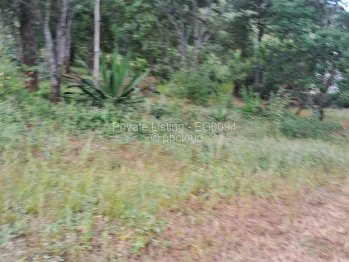 Residential Stand for Sale in Borrowdale, Harare