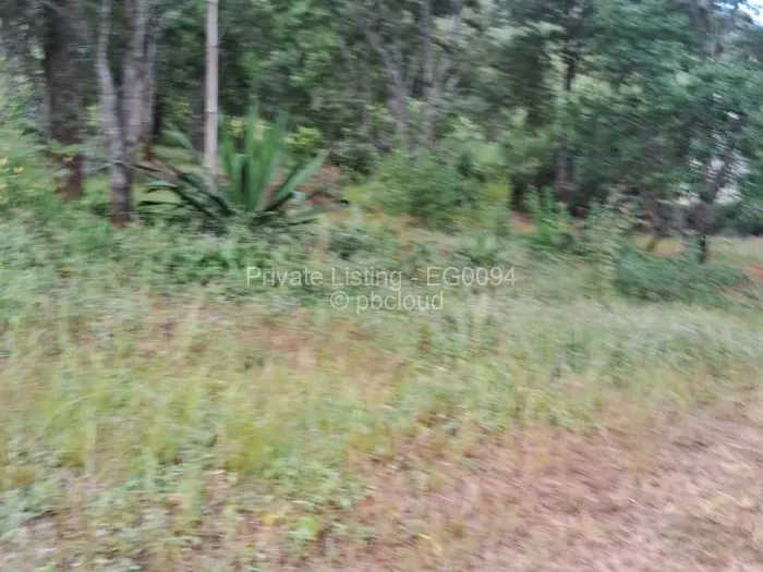 Residential Stand for Sale in Borrowdale, Harare