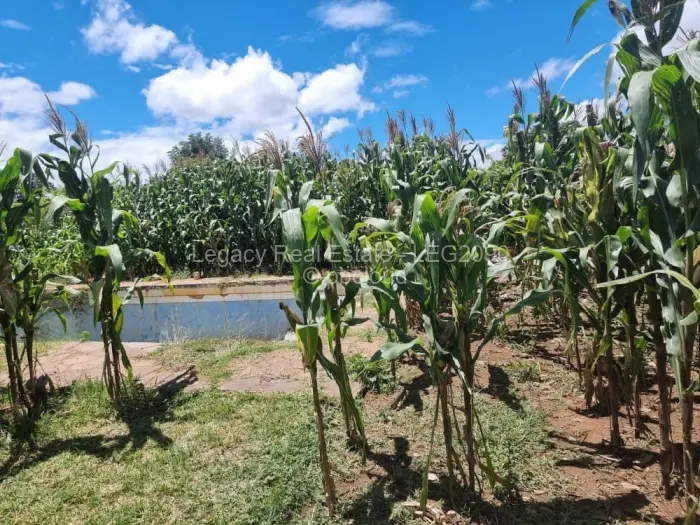 3 Bedroom House for Sale in Marlborough, Harare