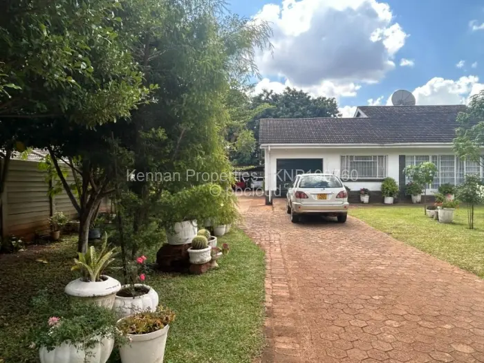 4 Bedroom House to Rent in Alexandra Park