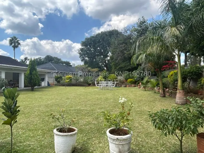 4 Bedroom House to Rent in Alexandra Park