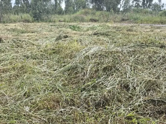 Residential Stand for Sale in Pomona, Harare