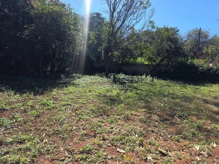 4 Bedroom House for Sale in Fortunes Gate, Bulawayo