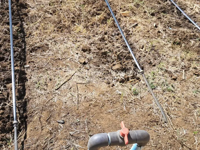 Farm/Plot for Sale in Galloway, Norton