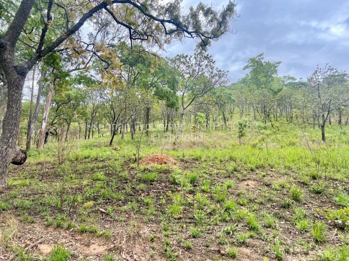 Residential Stand for Sale in Carrick Creagh Estate, Harare