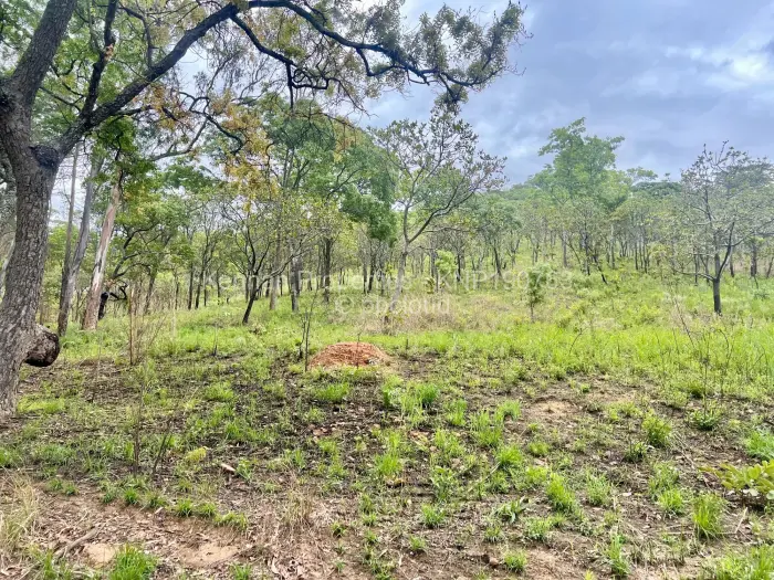 Residential Stand for Sale in Carrick Creagh Estate, Harare