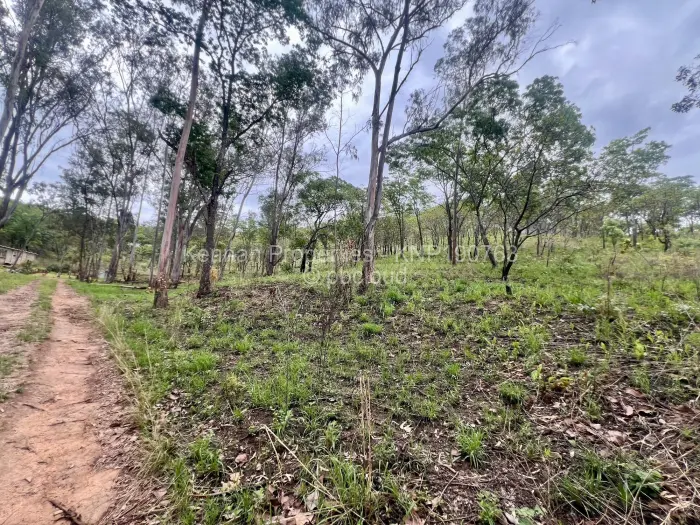 Residential Stand for Sale in Carrick Creagh Estate, Harare
