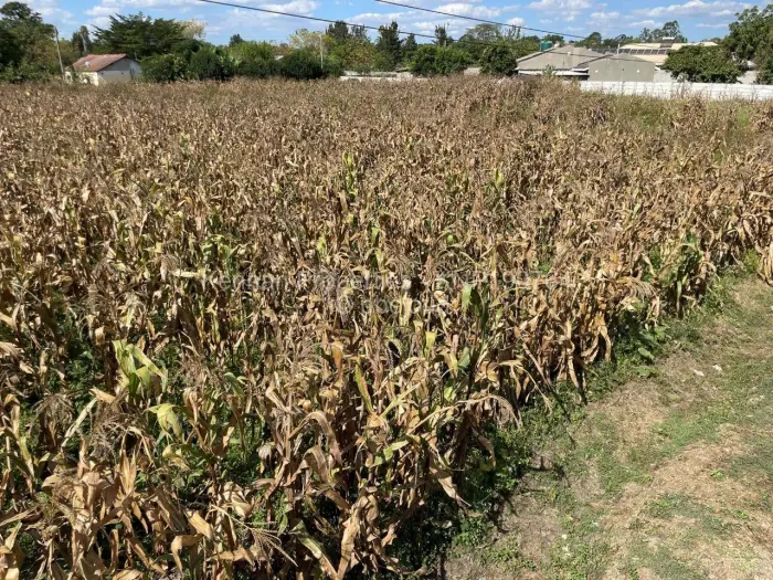 Residential Stand for Sale in Marlborough, Harare