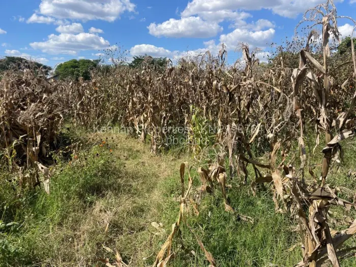 Residential Stand for Sale in Marlborough, Harare