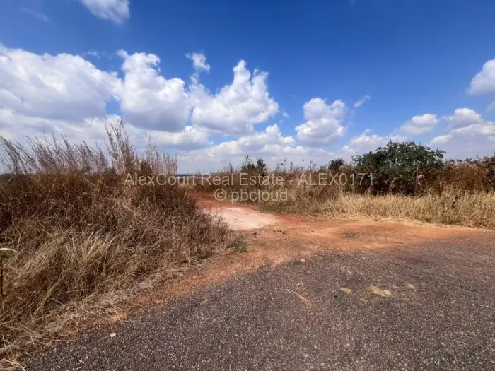 Residential Stand for Sale in Borrowdale, Harare