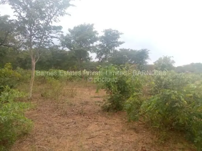 Farm/Plot for Sale in Gwanda, Gwanda