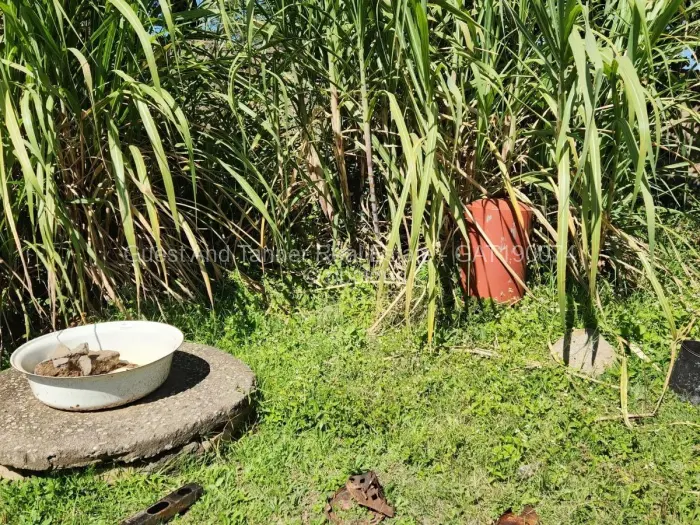 6 Bedroom House for Sale in Marlborough, Harare