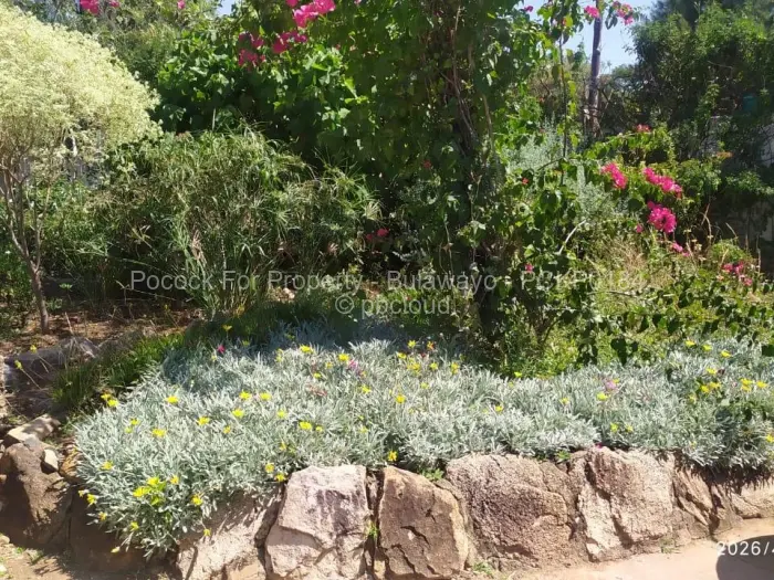 4 Bedroom House for Sale in Woodlands, Bulawayo