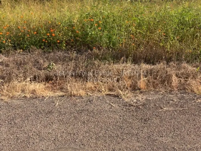 Residential Stand for Sale in Borrowdale Brooke, Harare