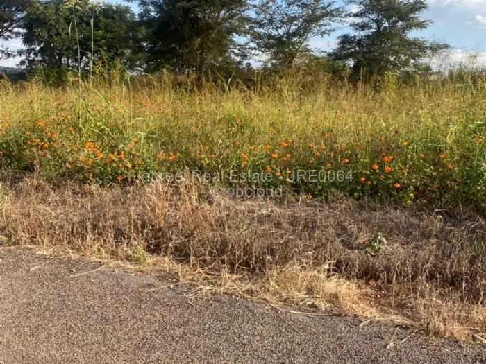 Residential Stand for Sale in Borrowdale Brooke, Harare