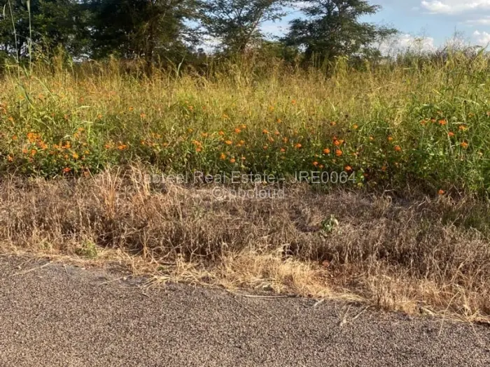 Residential Stand for Sale in Borrowdale Brooke, Harare