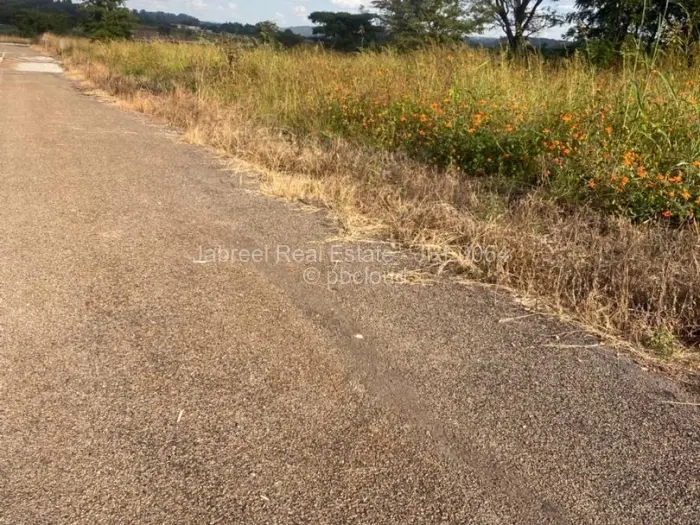 Residential Stand for Sale in Borrowdale Brooke, Harare