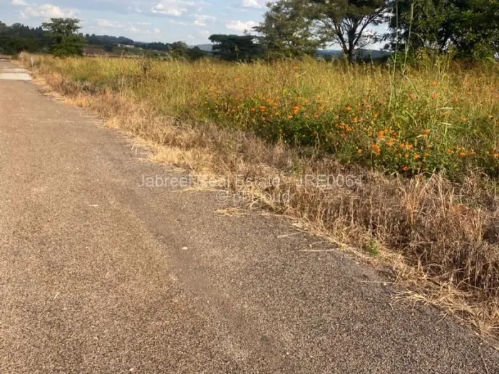 Residential Stand for Sale in Borrowdale Brooke, Harare