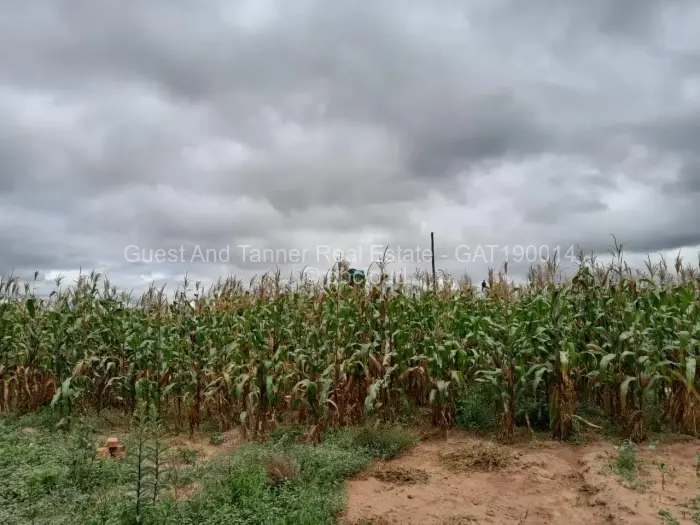 Residential Stand for Sale in Sunway City, Harare