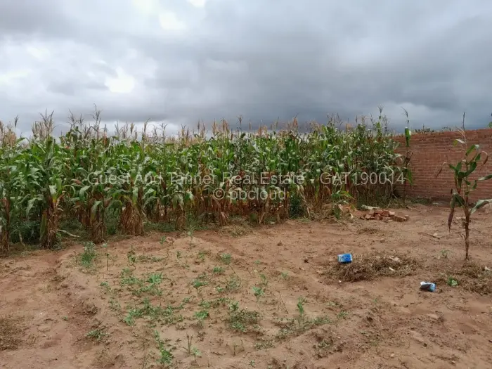Residential Stand for Sale in Sunway City, Harare