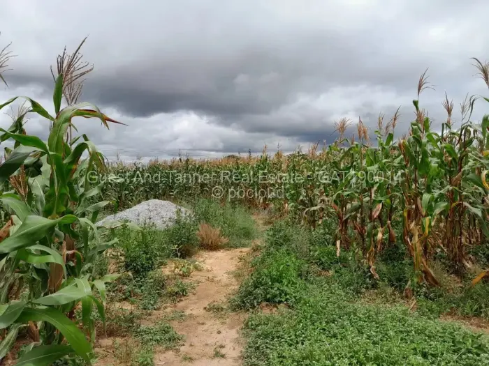 Residential Stand for Sale in Sunway City, Harare