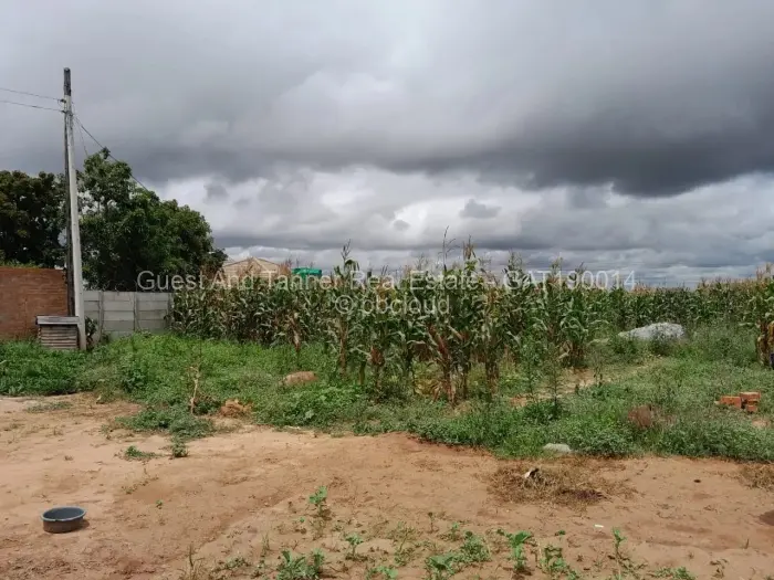 Residential Stand for Sale in Sunway City, Harare