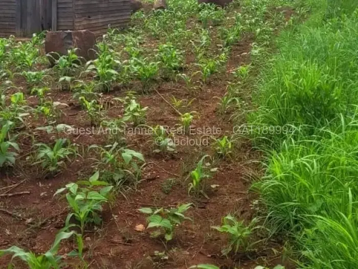 Residential Stand for Sale in Crowhill Views, Harare