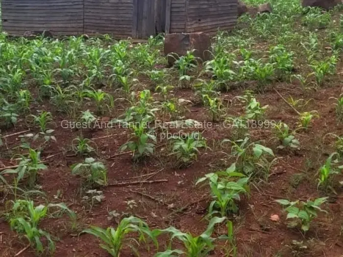 Residential Stand for Sale in Crowhill Views, Harare