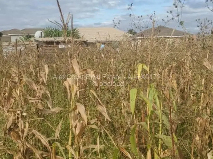 Residential Stand for Sale in Sandton Park, Harare