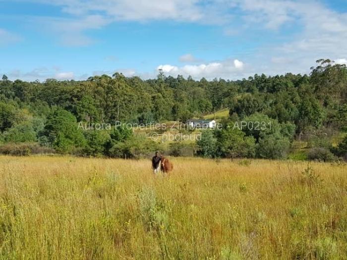 Farm/Plot for Sale in Nyanga, Nyanga