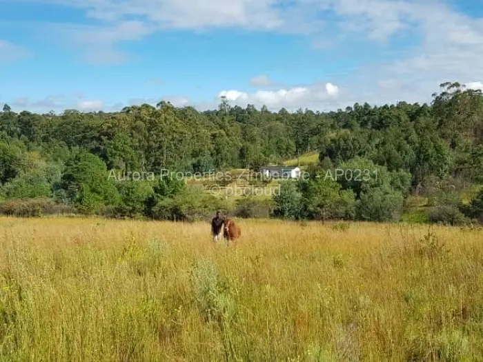Farm/Plot for Sale in Nyanga, Nyanga