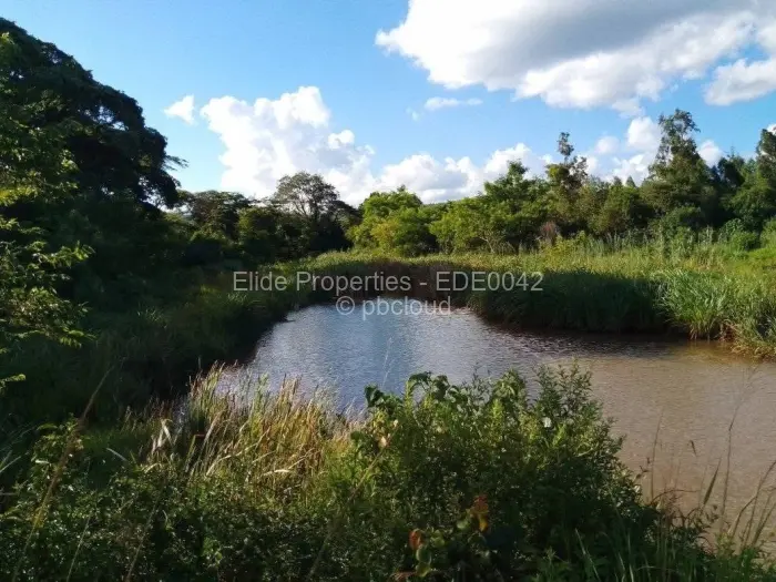 Farm/Plot for Sale in Chipinge, Chipinge